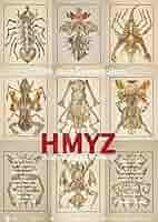 HMYZ JAN ŠVANKMAJER 映画 DVD Amazon.com: Jan Svankmajer - The Complete Short Films [DVD